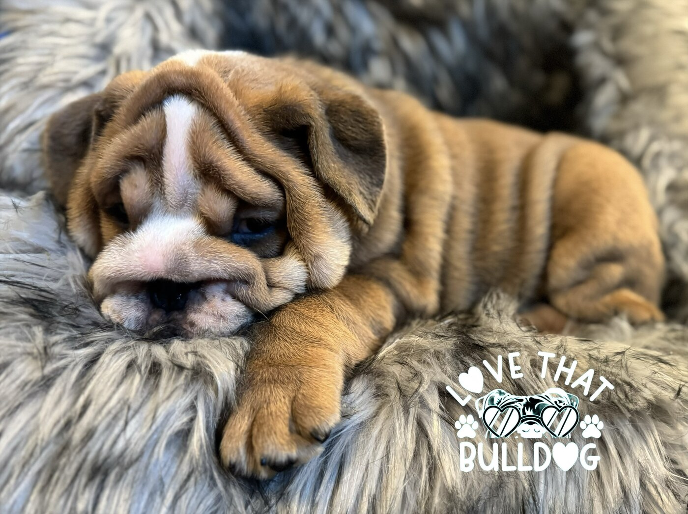 eZy Watermark_28-07-2025_07-18-49-1930PM