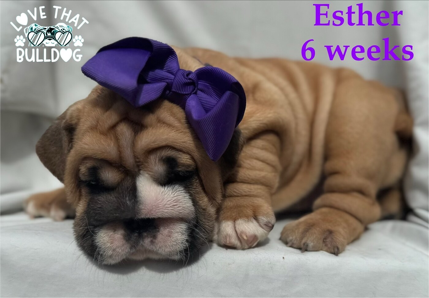 eZy Watermark_18-10-2025_09-48-16-6270PM