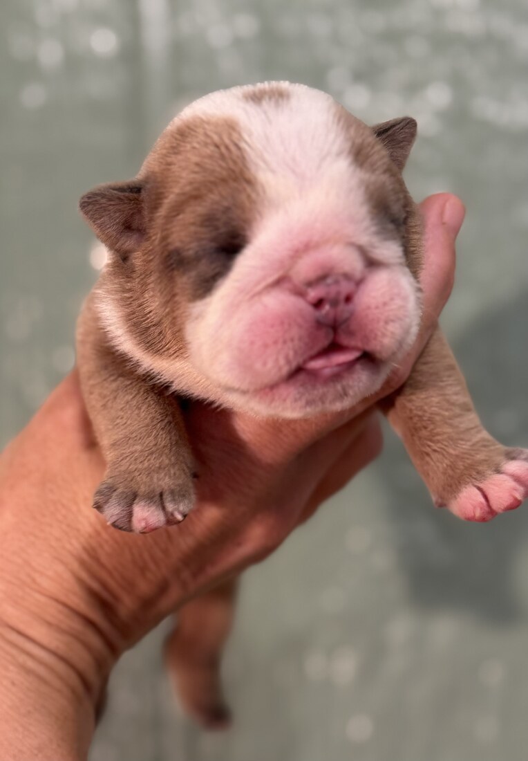IMG_3136