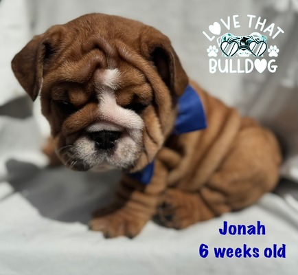 Jonah