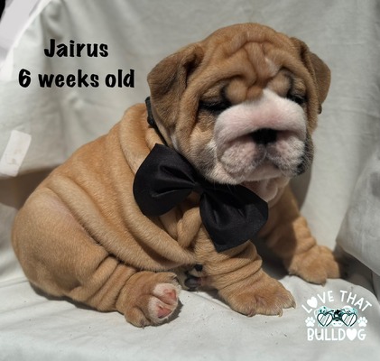 Jairus