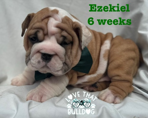 Ezekiel