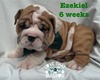 Ezekiel
